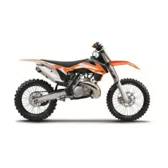 250 SX