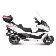 SW-T400ABS (2009)