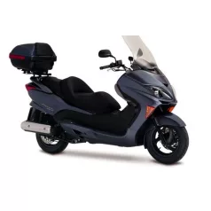FORZA 250 NSS250X/EX (2005-2007)