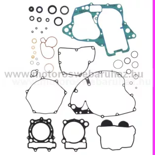   Tömítés szett komplett + szimering szett ATHENA (P400510900099)